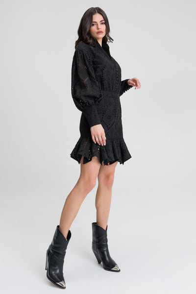 Amelia Black Ruffled broderie cotton-blend mini dress